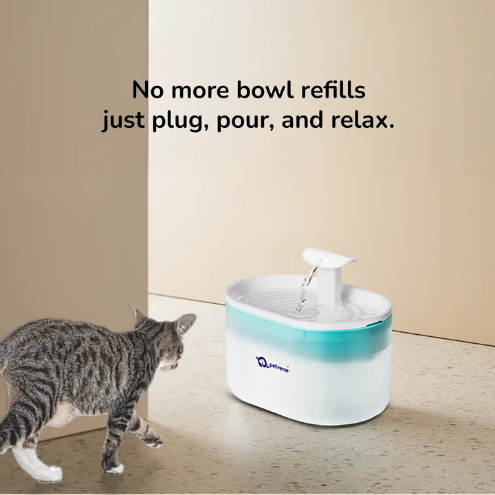 Cat approaching automatic water fountain with text ‘No more bowl refills just plug, pour, and relax.’