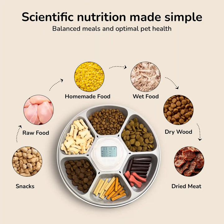 segmented 6 Meals Smart Pet Feederr tray with various food types