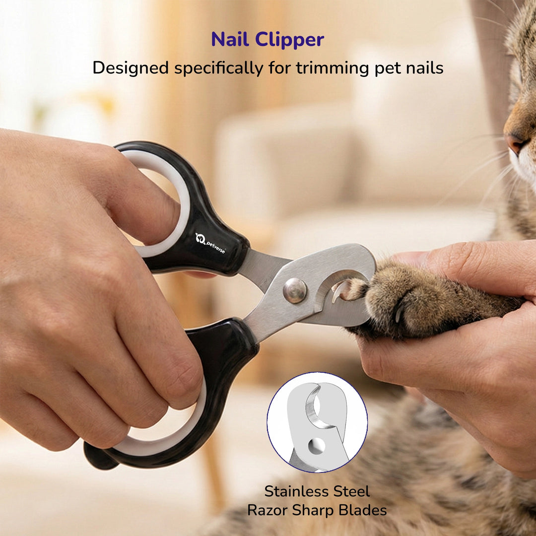 Hand trimming a cat’s nails with black pet nail clippers