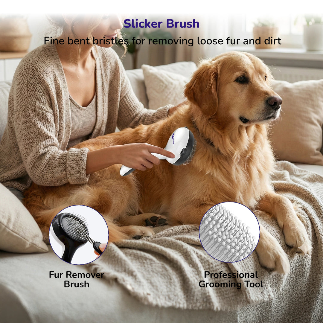 Person brushing a golden retriever’s fur with a slicker brush, showing pet grooming tool