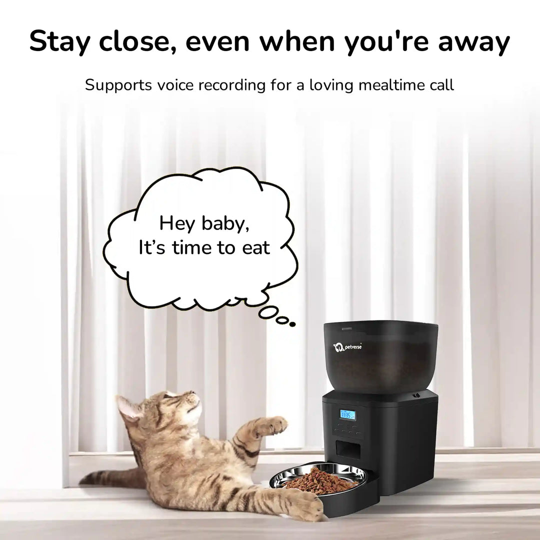 A cat lying beside a black automatic feeder with the speech bubble and headline about voice recording.