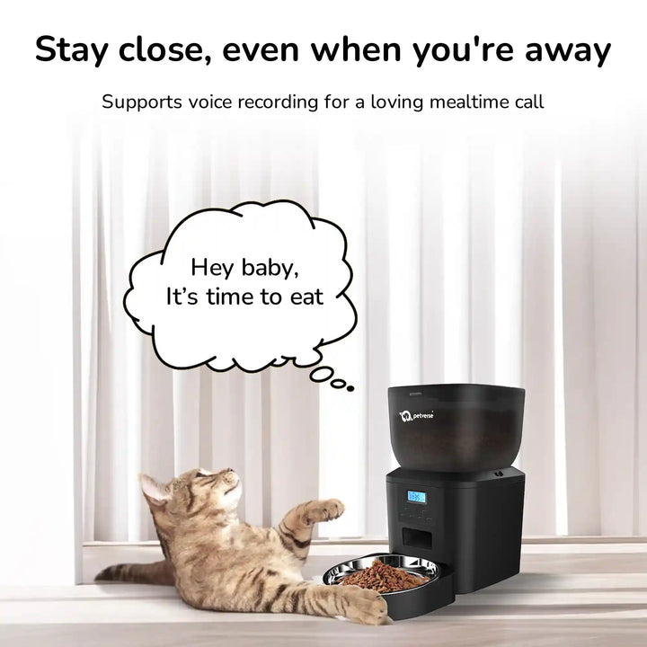 A cat lying beside a black automatic feeder with the speech bubble and headline about voice recording.