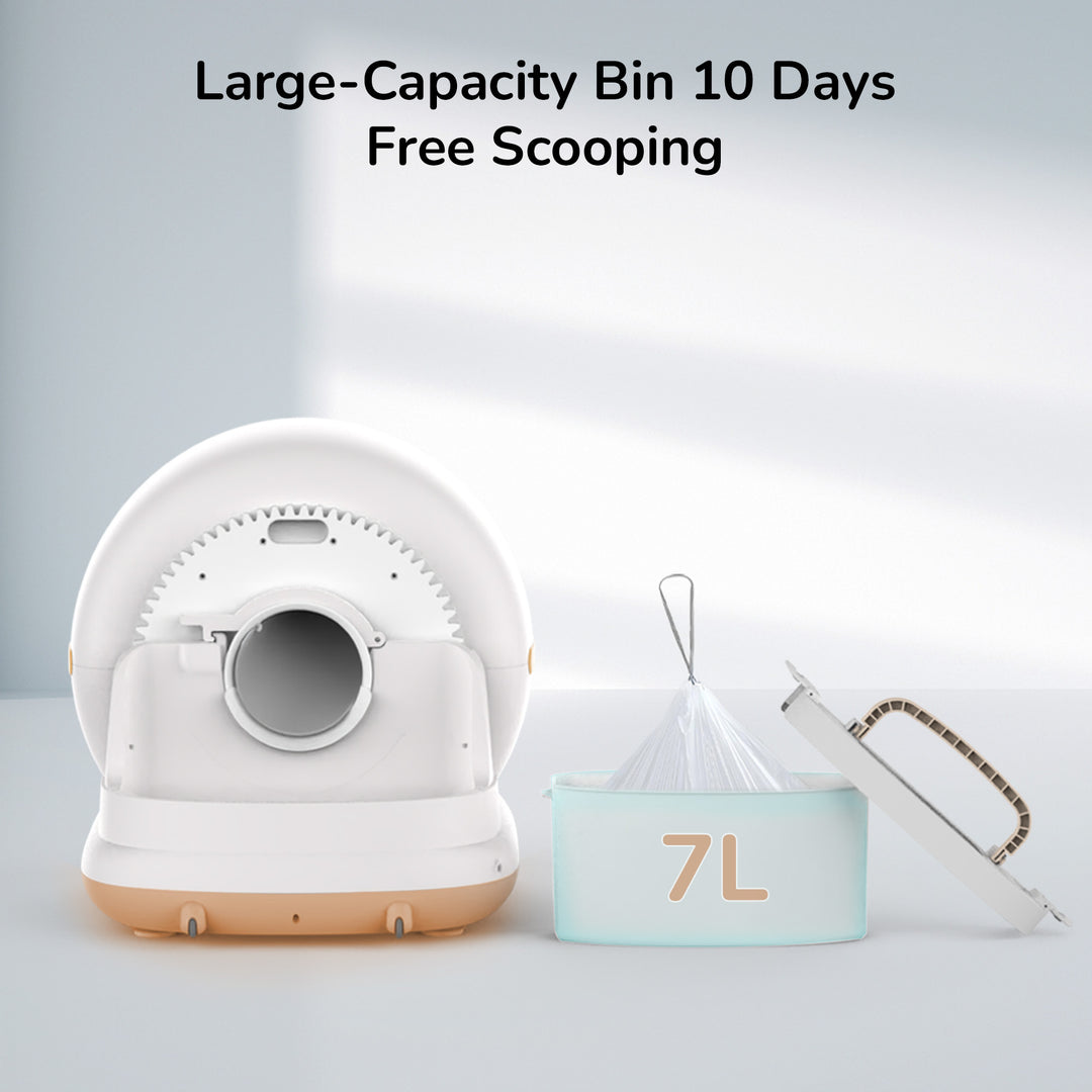 Automatic Cat Litter Box