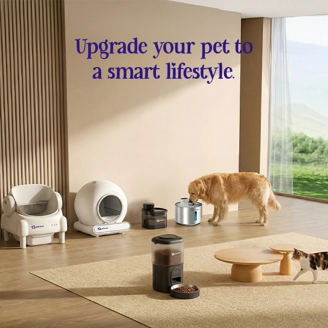 variety of pet products with cheerful pets and promotional visuals 