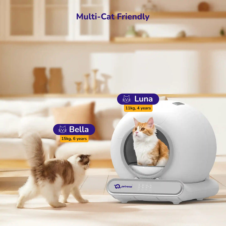 Multi‑cat friendly automatic cat litter box with one cat inside labeled ‘Luna, 11 kg, 4 years’ and another approaching labeled ‘Bella, 15 kg, 6 years.