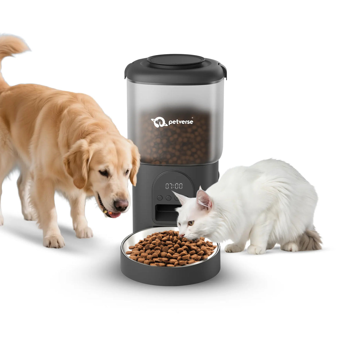 White automatic pet feeder with digital display, designed for smart, stress-free, portion-controlled feeding.