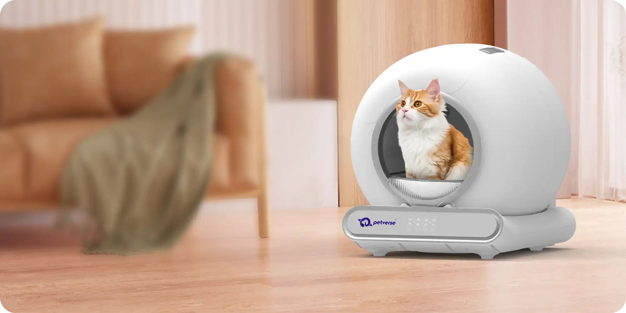 An orange‑white cat sitting inside a modern automatic cat litter box in a cozy living room.