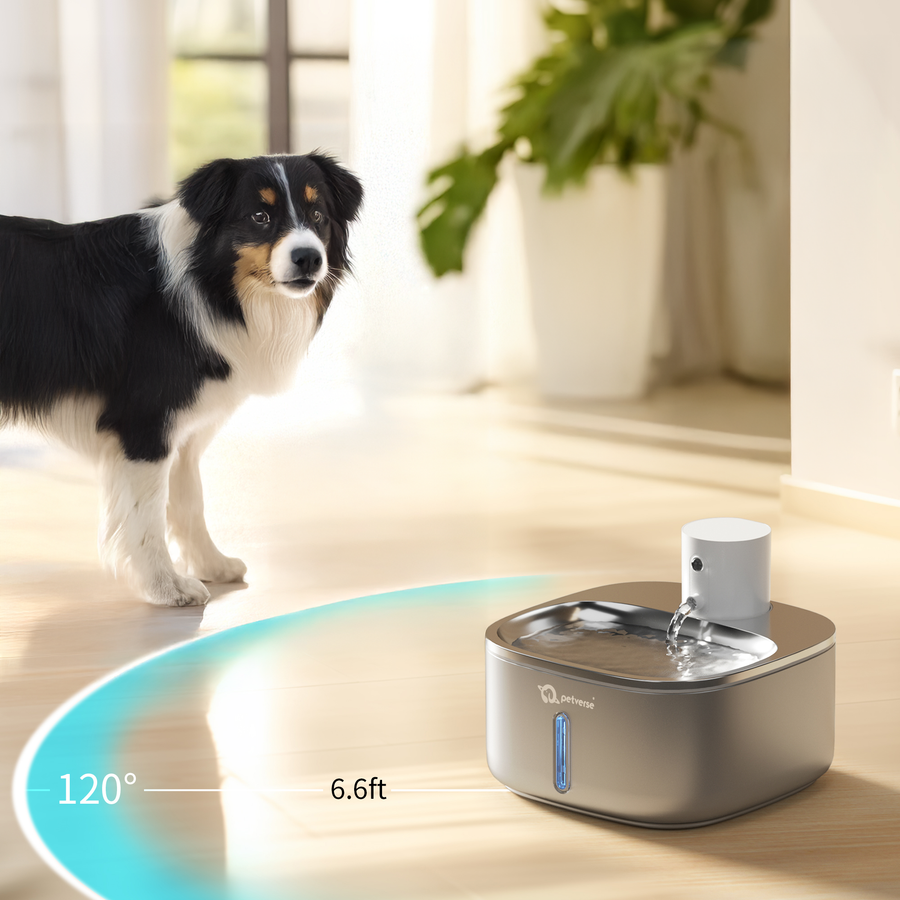 Smart Motion Sensor Dog Water Fountain (3.2L)
