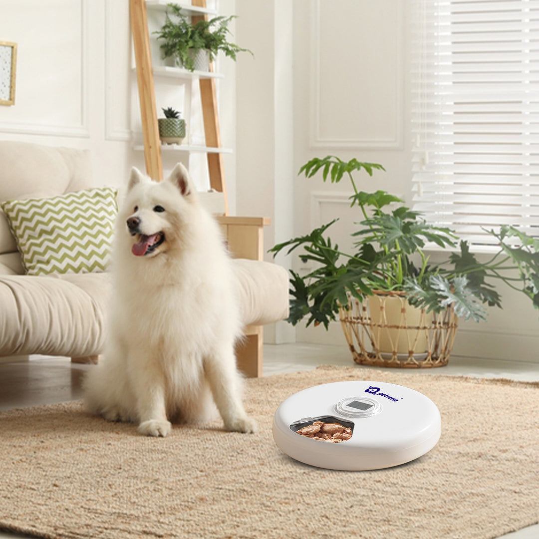6 Meals Smart Pet Feeder for Dogs by Petverse