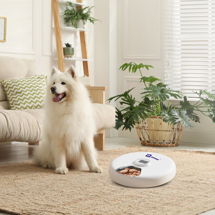 6 Meals Smart Pet Feeder for Dogs by Petverse