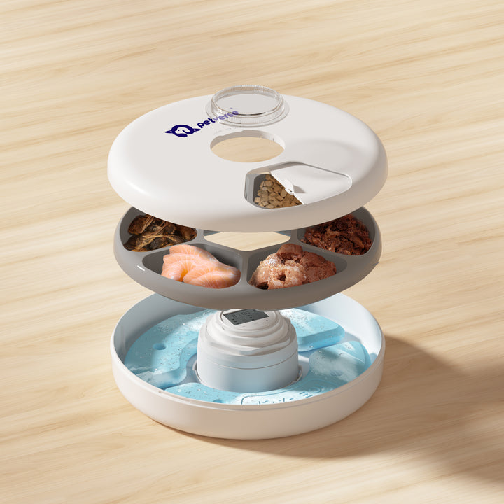 6 Meals Smart Pet Feeder with ice bag