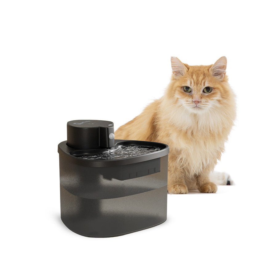 Wireless water fountain for cats with smart design, providing fresh and safe drinking water.