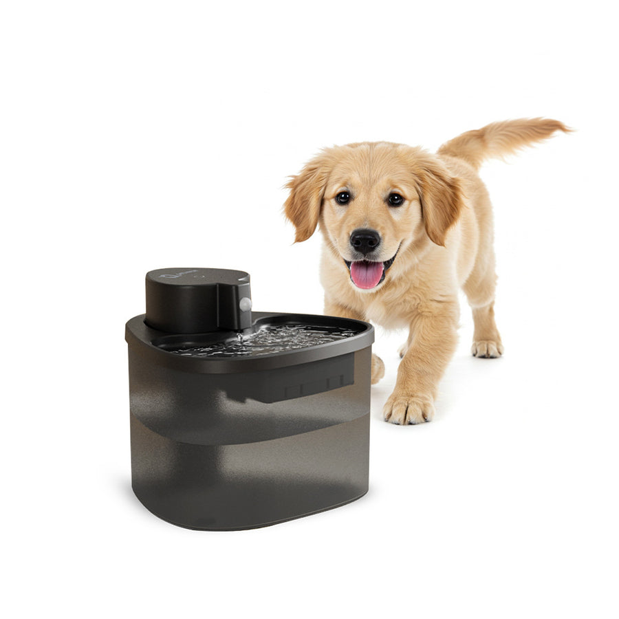 Wireless water fountain for dogs with smart design, providing fresh and safe drinking water.