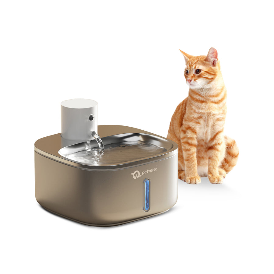 A cat drinking from a motion-activated water fountain that dispenses water when the pet approaches.