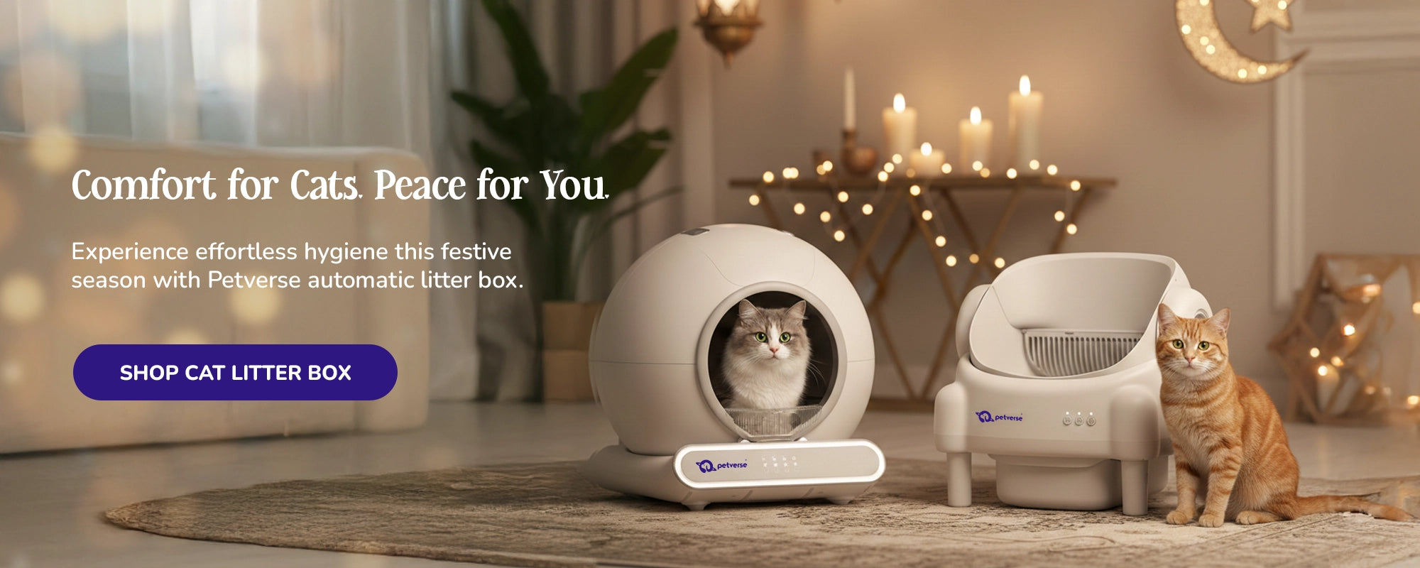 Cat litter box with a cat inside, surrounded by decorative elements in an Eid-Ramadan festive home.
