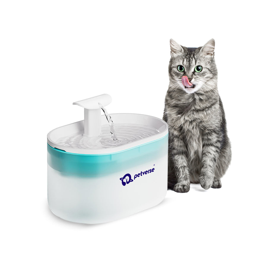 Cat__Automatic_water_fountain