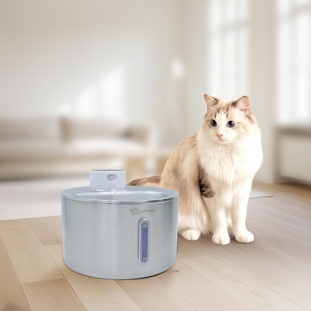Smart Motion Sensor Cat Water Fountain (4L)