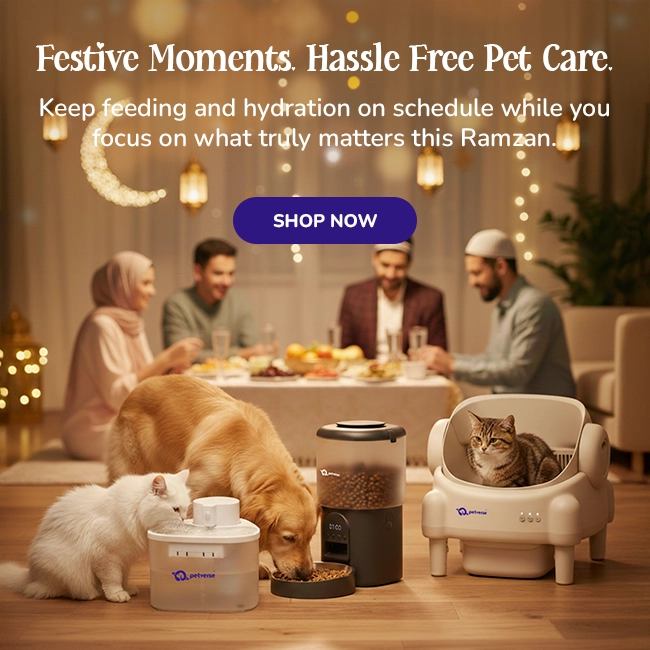 Ramzan festive family evening with dog and cat using Petverse smart feeder and water fountain at home.