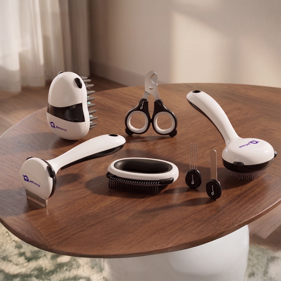 Set of pet grooming tools including brushes and scissors on a wooden table.