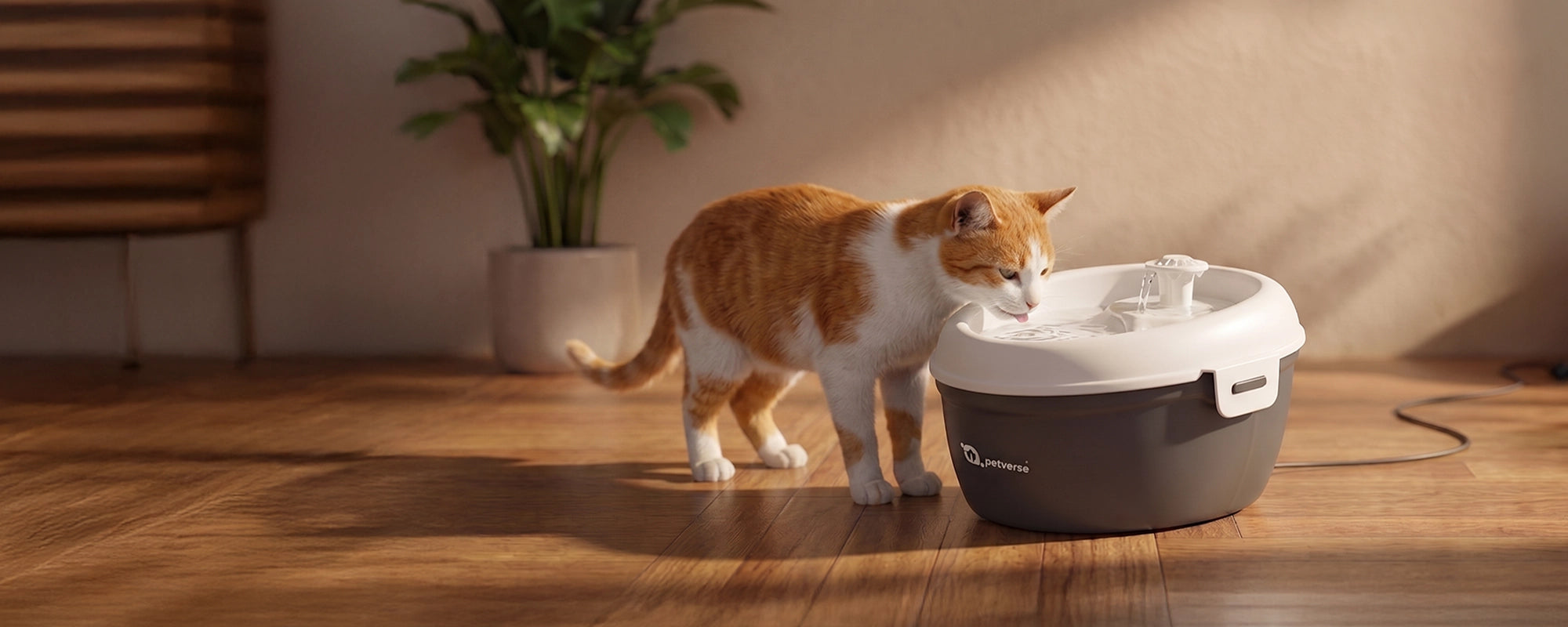 Cat drinking water from a Oral Care Pet Water Fountain