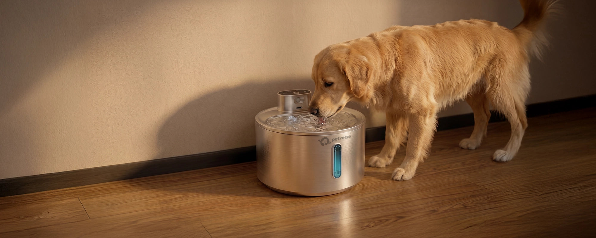 Dog drinking from a Smart Motion Sensor Pet Water Fountain 