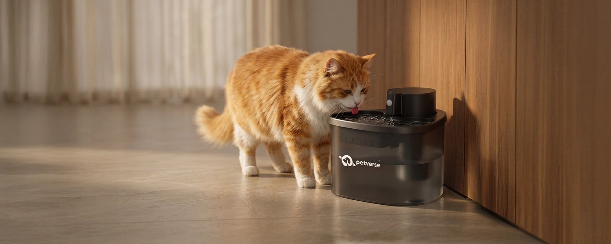Cat drinking from a Wireless Pet Water Fountain