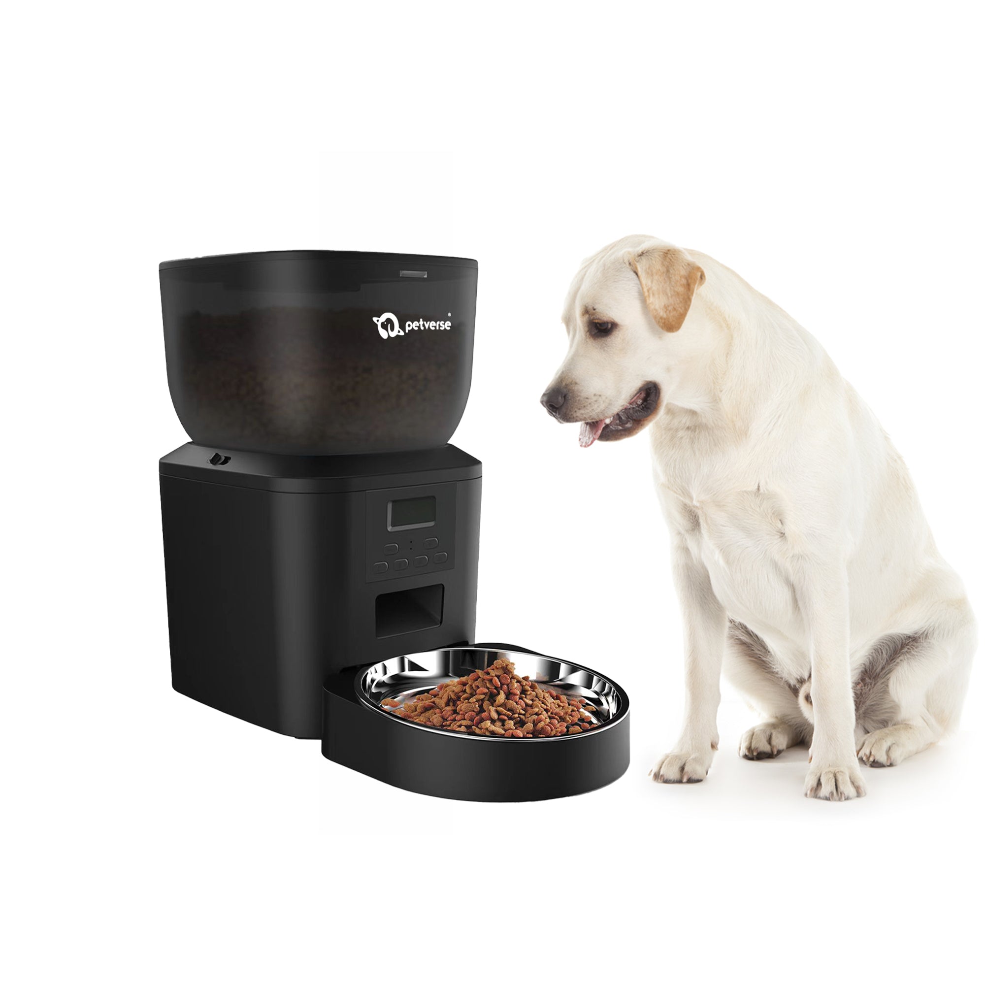 Dog Collection