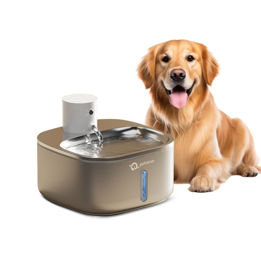 A dog drinking from a motion-activated water fountain that dispenses water when the pet approaches.