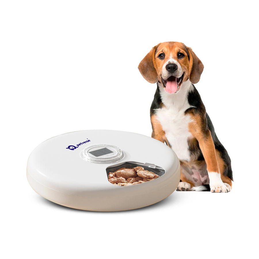 A six-compartment automatic feeder for dogs, designed to dispense up to six pre-portioned meals.