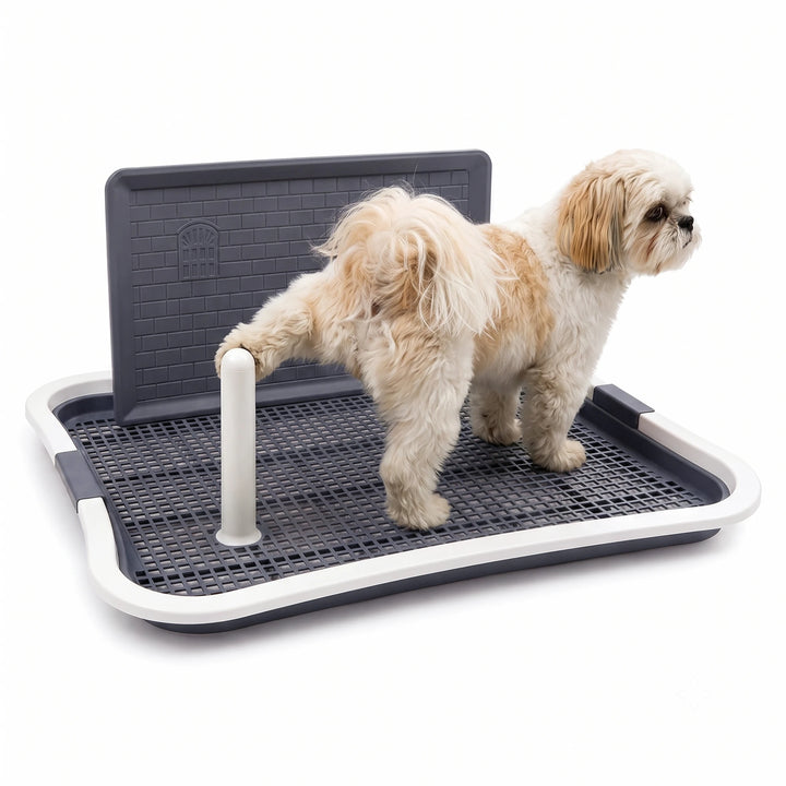 Dog Poop Tray