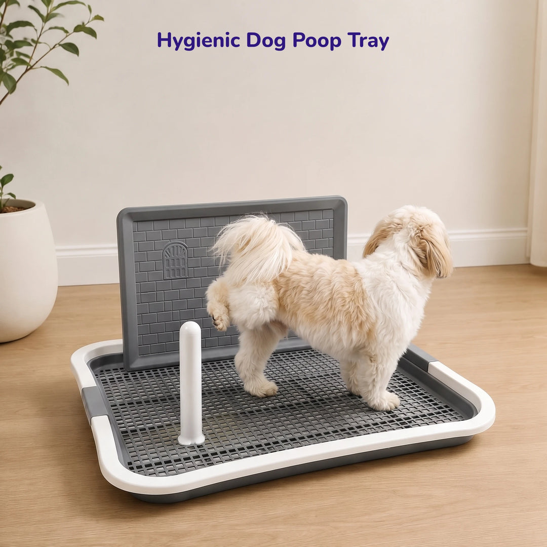 Dog Poop Tray