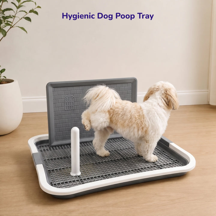 Dog Poop Tray