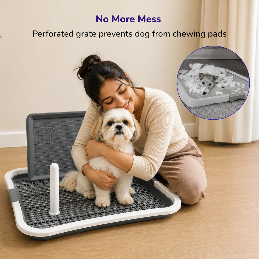Dog Poop Tray