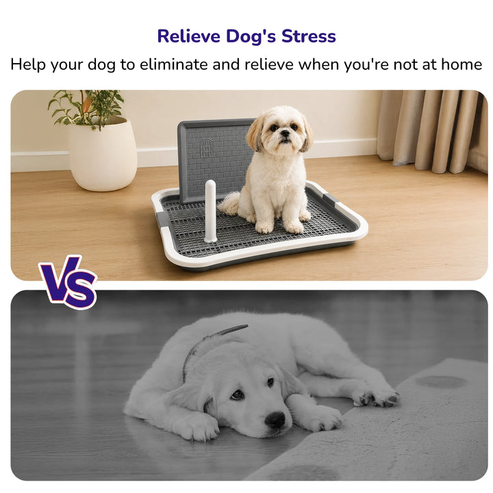 Dog Poop Tray