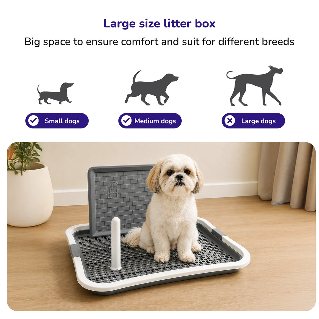 Dog Poop Tray