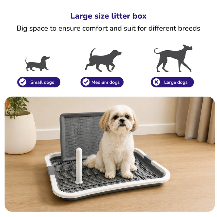 Dog Poop Tray
