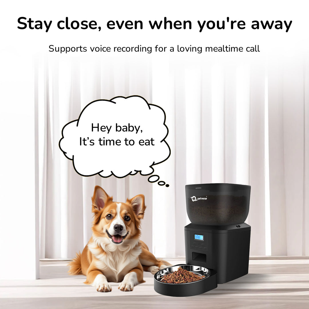 Dog Automatic feeder with voice recording feature