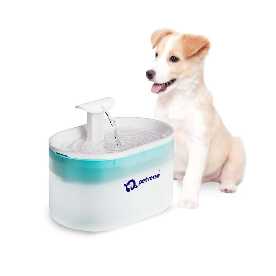 Dog_Automatic_water_fountain