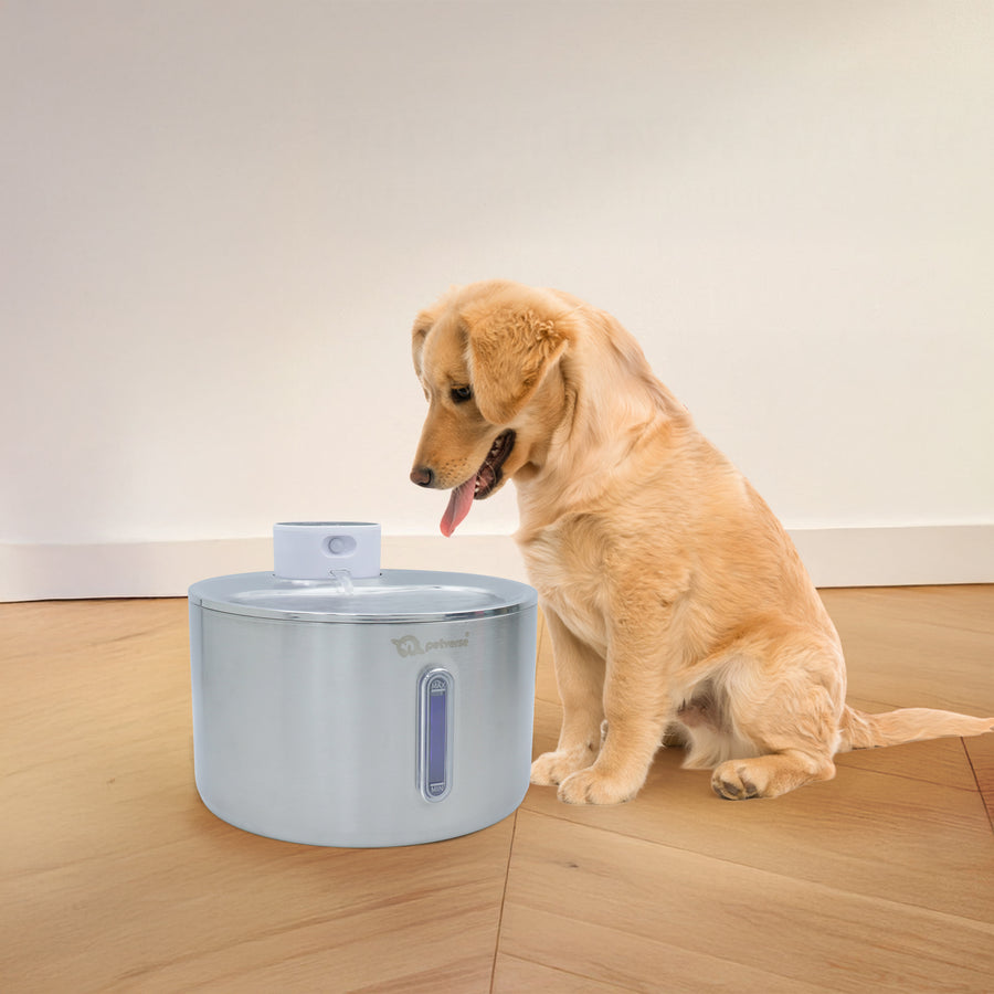 Smart Motion Sensor Cat Water Fountain (4L)