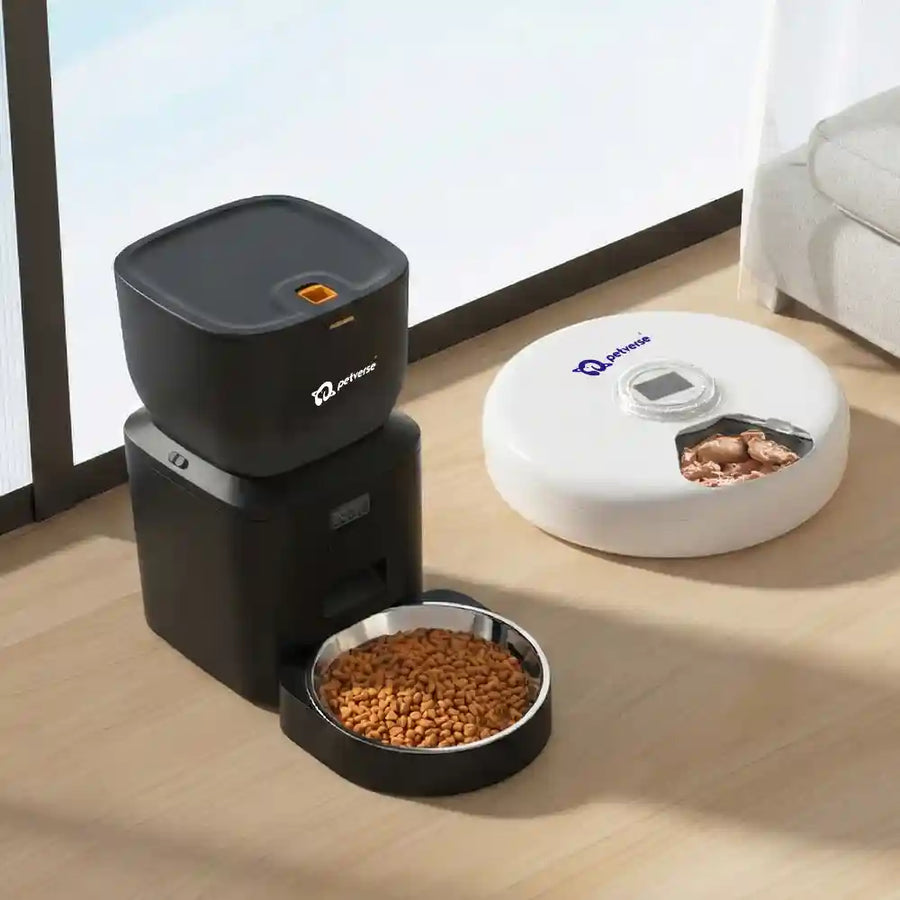 Modern automatic pet feeder with digital display and 6-meal feeder on wooden floor in a bright living room setting