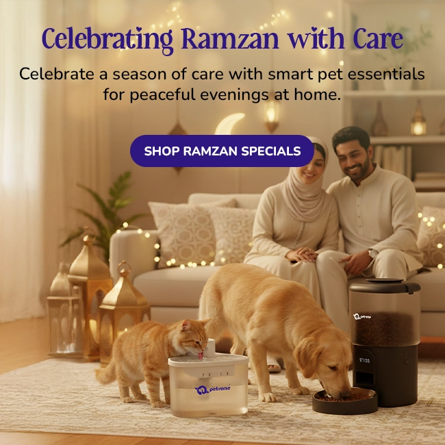 Dog and cat using Petverse smart feeder and fountain during Ramzan evening at home with family.
