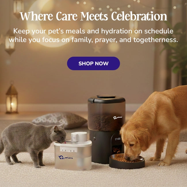 Cat is drinking water from petverse 2L water fountain and dog is eating food from petverse automatic pet feeder.