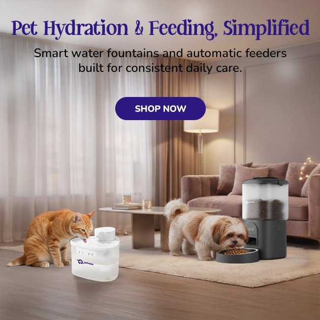 Petverse pet water fountain and automatic pet feeder in a home setting with cat drinking water and dog eating kibble.