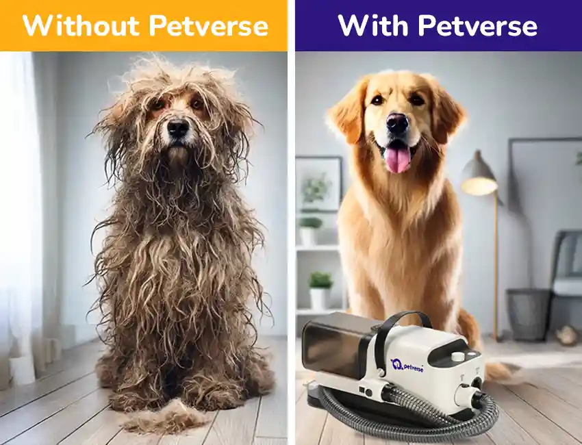 Comparison of pet grooming with and without Petverse feeders for the All-in-One Pet Grooming Kit.