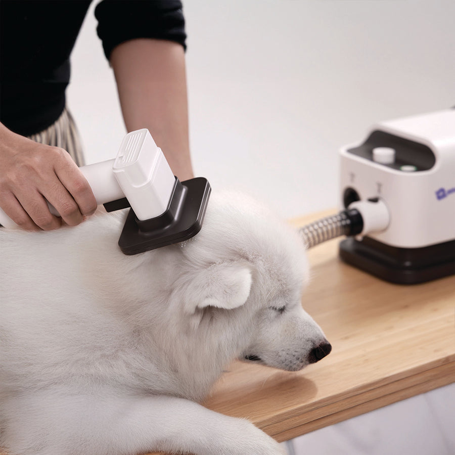 All in One Pet Grooming Kit for Dogs by Petverse