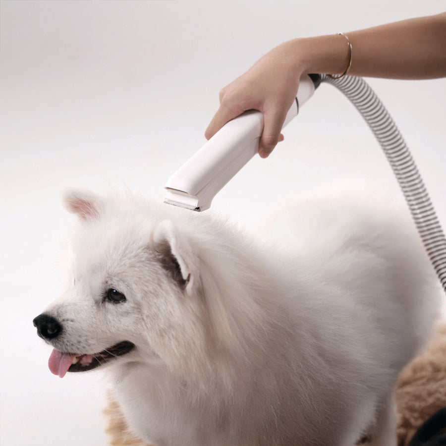 All in One Pet Grooming Kit for Dogs by Petverse