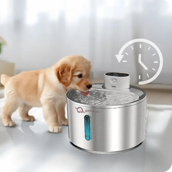 Pet water fountain with a puppy drinking from it on a light background