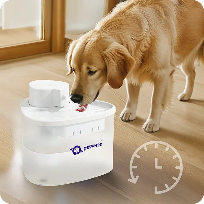 Close-up of a hand placing a washable filter into a round pet water fountain base.