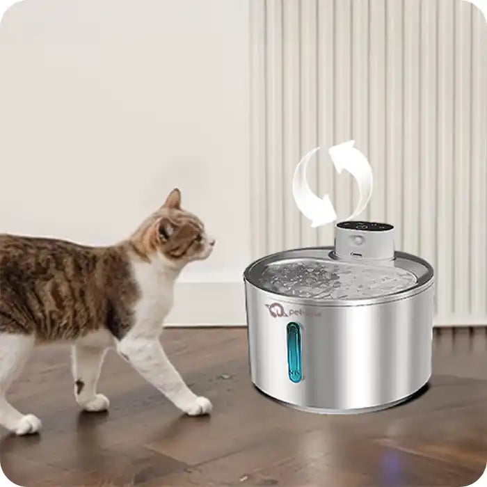 Cat walking towards a pet water fountain on a wooden floor.