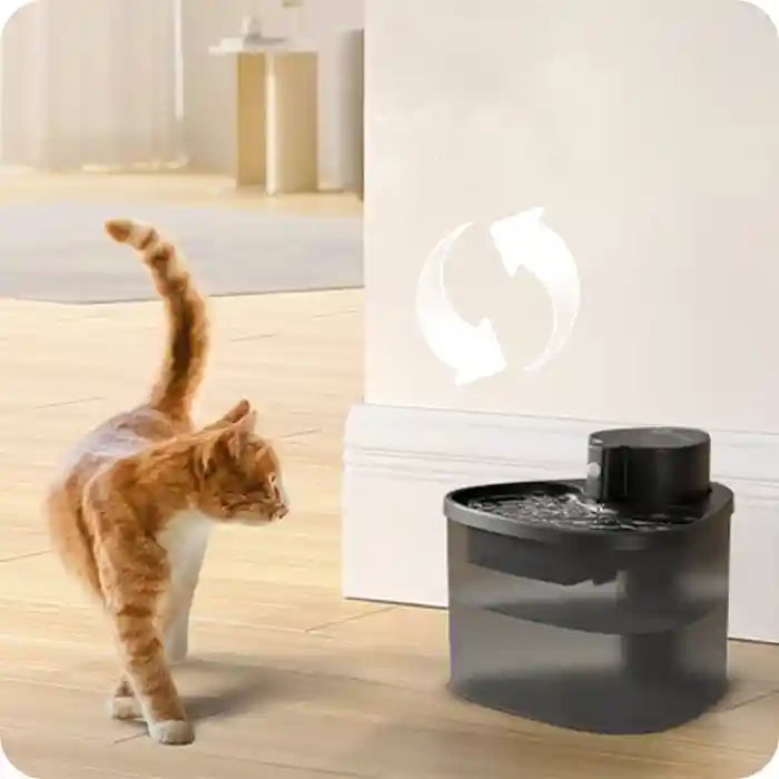cat approaching a black pet water fountain with a circular arrow icon showing water recycling.